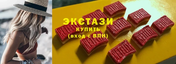 гидра Богородск