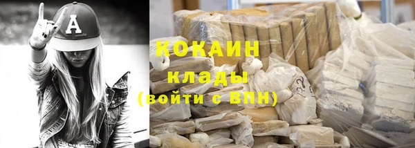 mdpv Богородицк