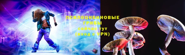 амф Богданович