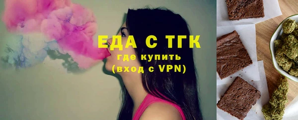 гидра Богородск