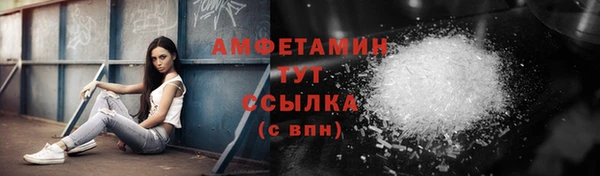 молекула духа Белоозёрский