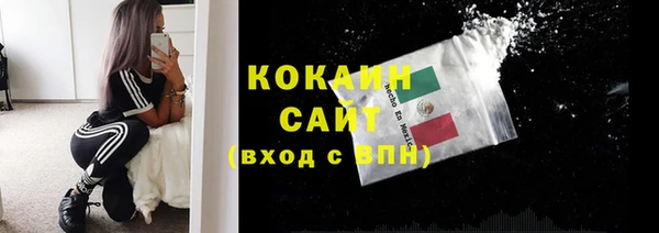 гидра Богородск