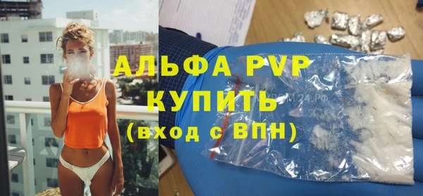 молекула духа Белоозёрский