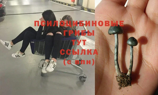 прущий лед Беломорск