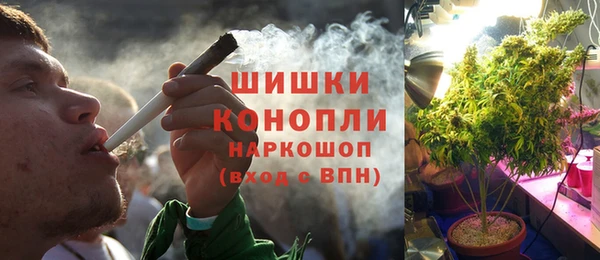 гидра Богородск