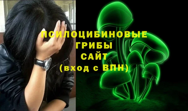 амф Богданович