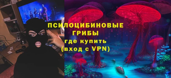 амф Богданович