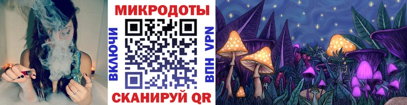 Купить закладки  Княгинино  Галлюциногенные грибы прущие грибы 